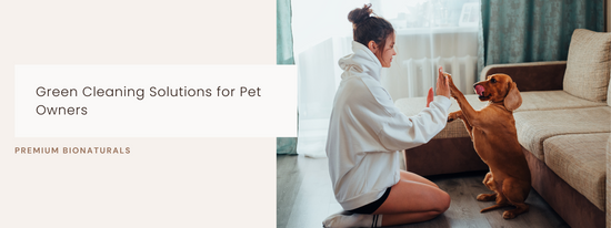 Say goodbye to toxins with pet-safe cleaning solutions.
