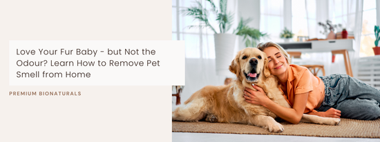 Before–after living room showing how to remove pet smell from home