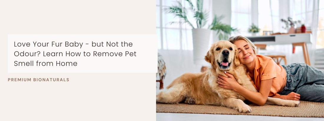 Before–after living room showing how to remove pet smell from home