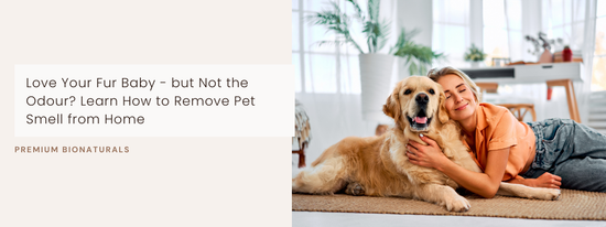 Before–after living room showing how to remove pet smell from home