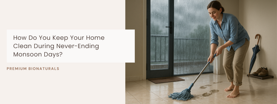 How do you keep your home clean when humidity rises? Use dehumidifiers, dry mops, and airflow.