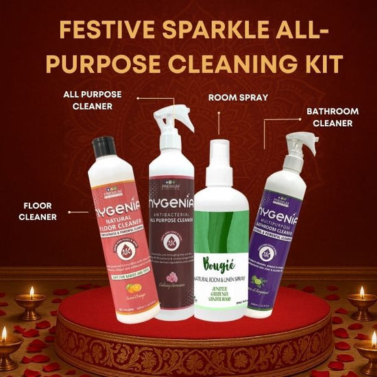 Festive Sparkle All-Purpose Cleaning Kit
